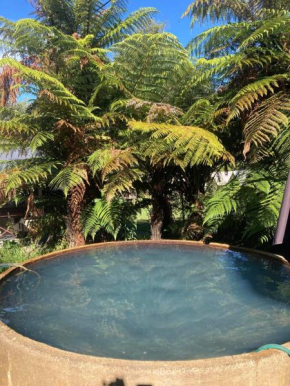 Cottage and geothermal pool by lake Taupo